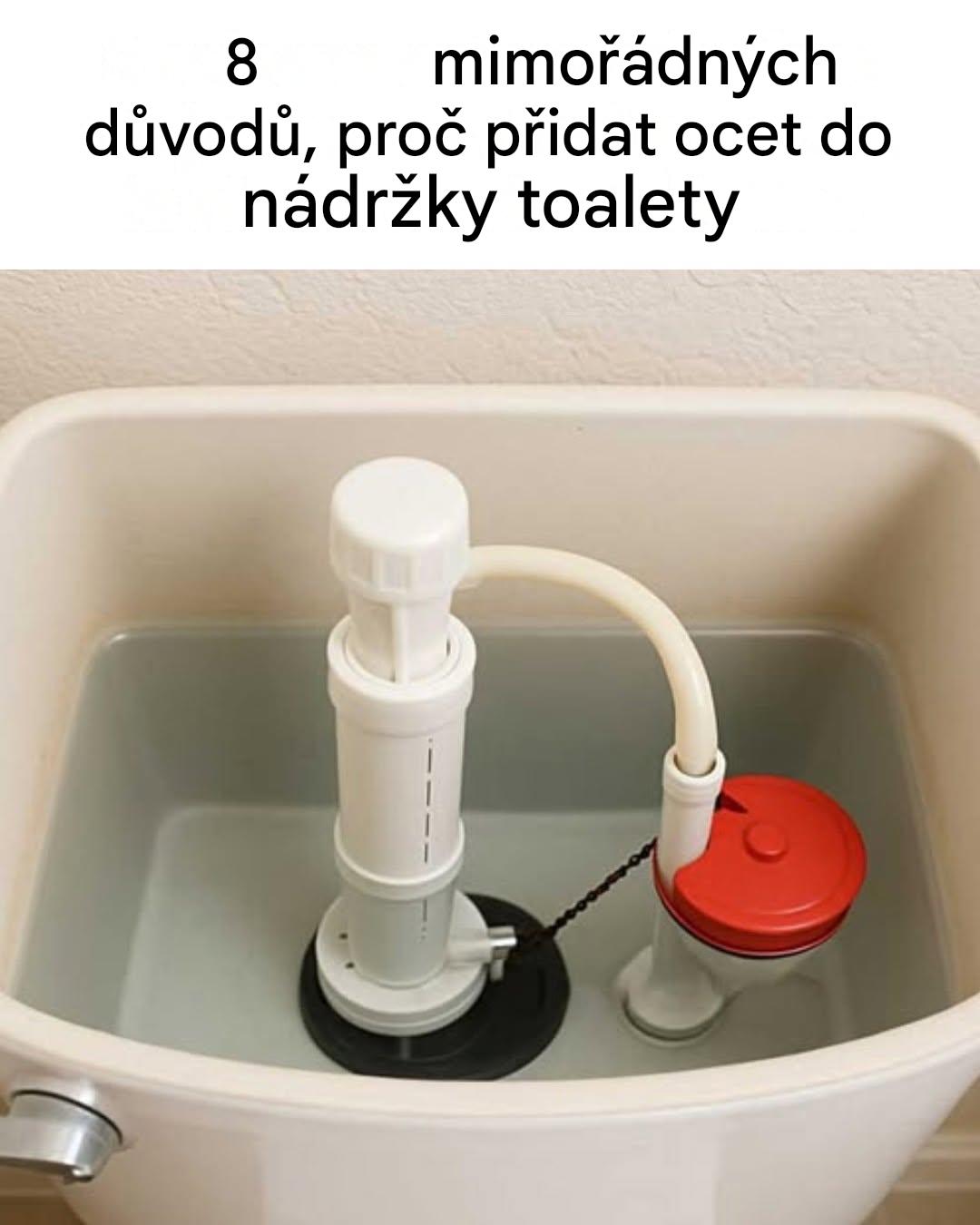 Bílý ocet: 8 nečekaných výhod pro bezchybné toalety bez chemikálií