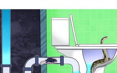 7 děsivých vetřelců, kteří by se mohli vynořit z vaší koupelny (a jak je zastavit)