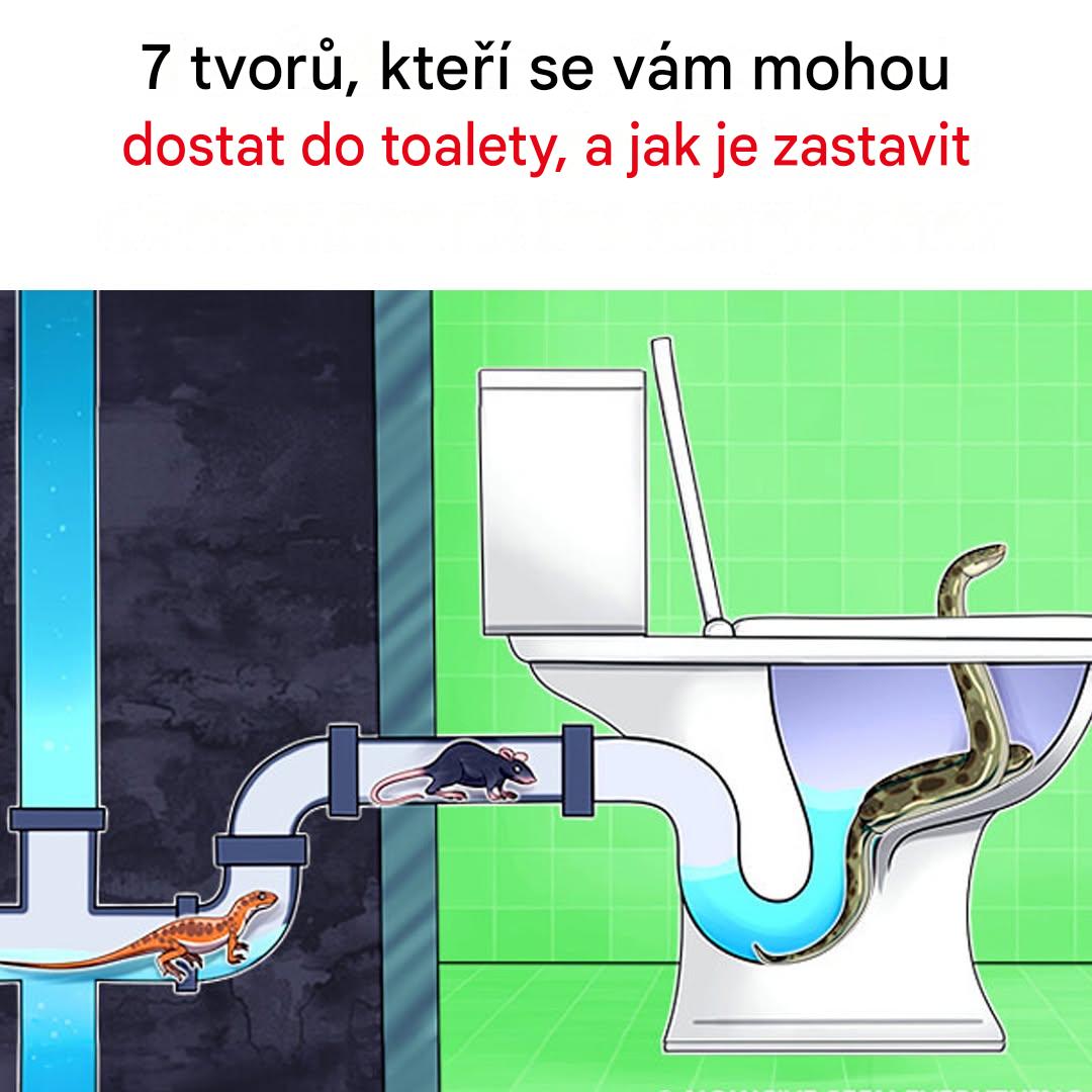 7 děsivých vetřelců, kteří by se mohli vynořit z vaší koupelny (a jak je zastavit)
