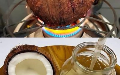 Kouzlo čistého kokosového oleje: přírodní recept se zachovanými účinky
