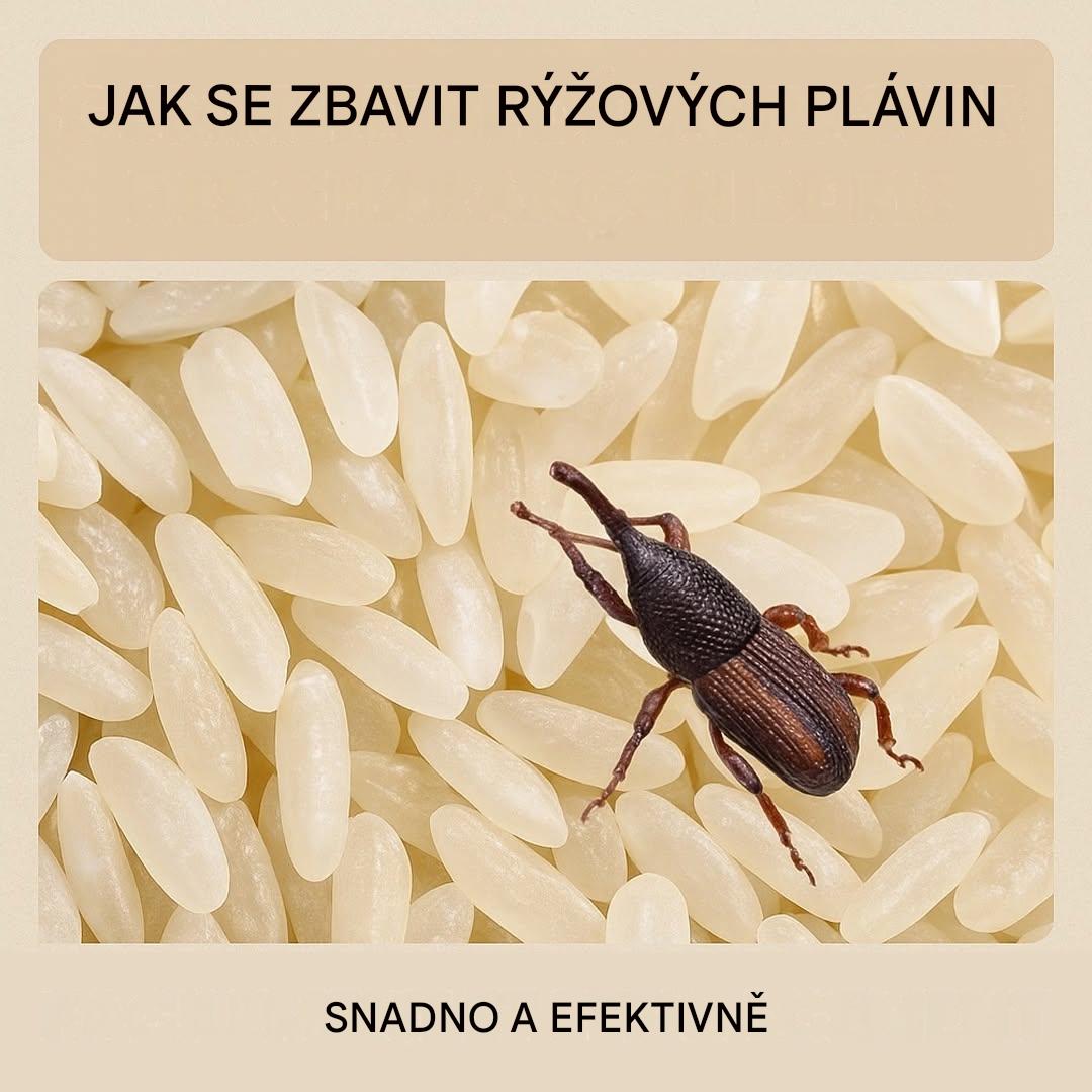 Likvidace nosatců rýžových bez chemikálií: účinné tipy