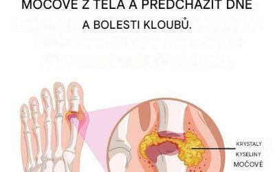 Účinné přírodní léky na bolest dny a zánět kloubů