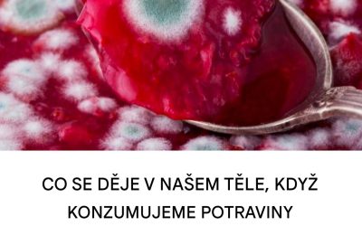Nežádoucí houby v našich potravinách: zdravotní hrozba, nebo jen odpor?