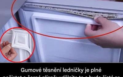 3 účinné tipy, jak dát těsnění vaší lednice druhý život
