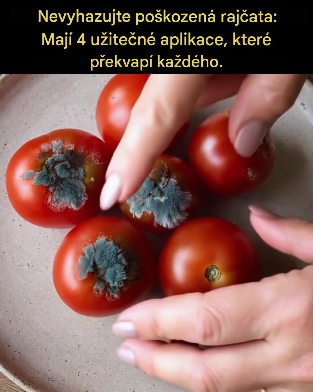 4 unikátní tipy, jak oživit vaše nemocná rajčata