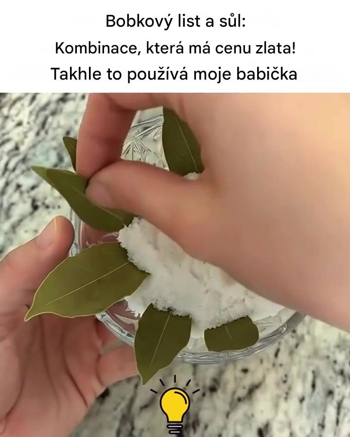 Bobkový list a sůl: kombinace, která má cenu zlata.