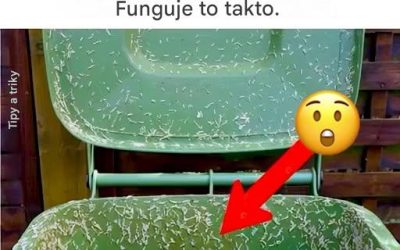 Prastará metoda, jak snadno udržet larvy dál od koše