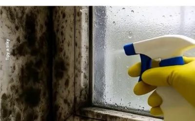 Řešení našich babiček pro okamžitou likvidaci plísní