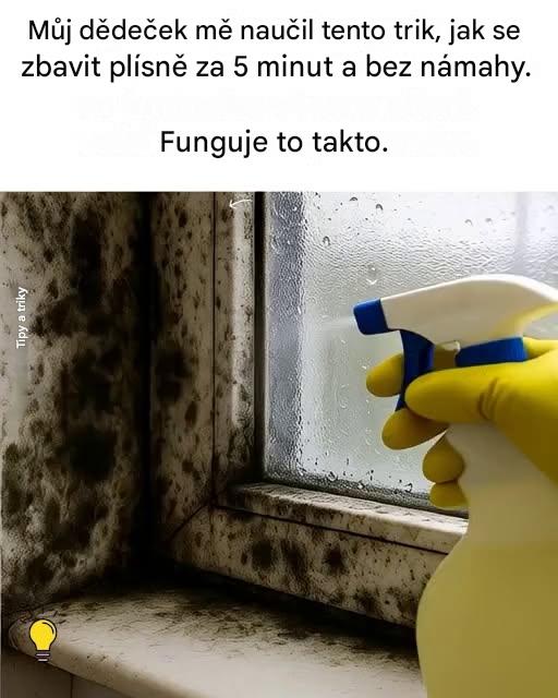 Řešení našich babiček pro okamžitou likvidaci plísní