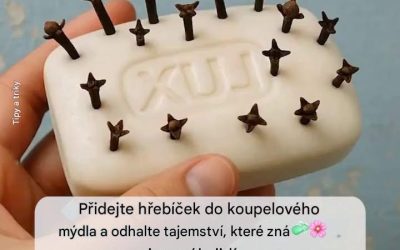 Hřebíček a mýdlo: přírodní kombinace pro voňavý domov a zdravou pokožku