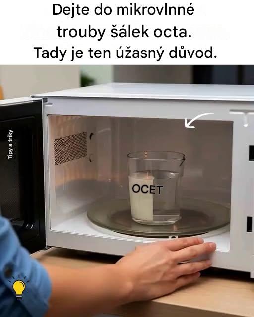 Objevte bezchybnou metodu s octem pro bezchybnou mikrovlnnou troubu