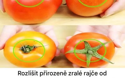 Jak rozpoznat pravé rajče: Tipy, jak se vyhnout padělkům v supermarketech