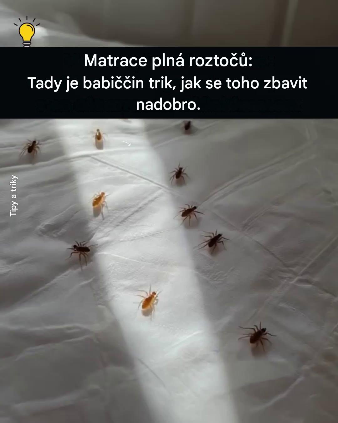 Dejte svému ložnímu prádlu druhý život: šetrný přístup k likvidaci roztočů