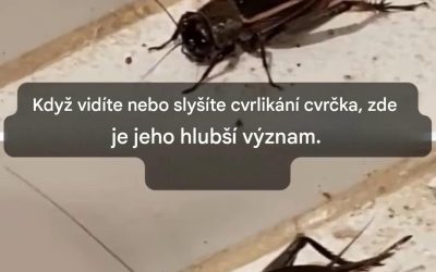 Cvrčci: symbolika a co znamená vidět nebo slyšet je cvrlikat