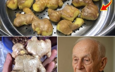 Tajemství dlouhověkosti devadesátiletého člověka: jeho rodový recept na nakládaný zázvor pro obnovenou energii.