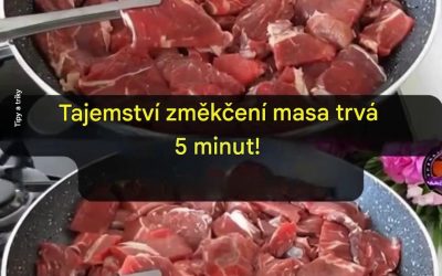 Nečekané tajemství dokonale křehkého masa během několika minut