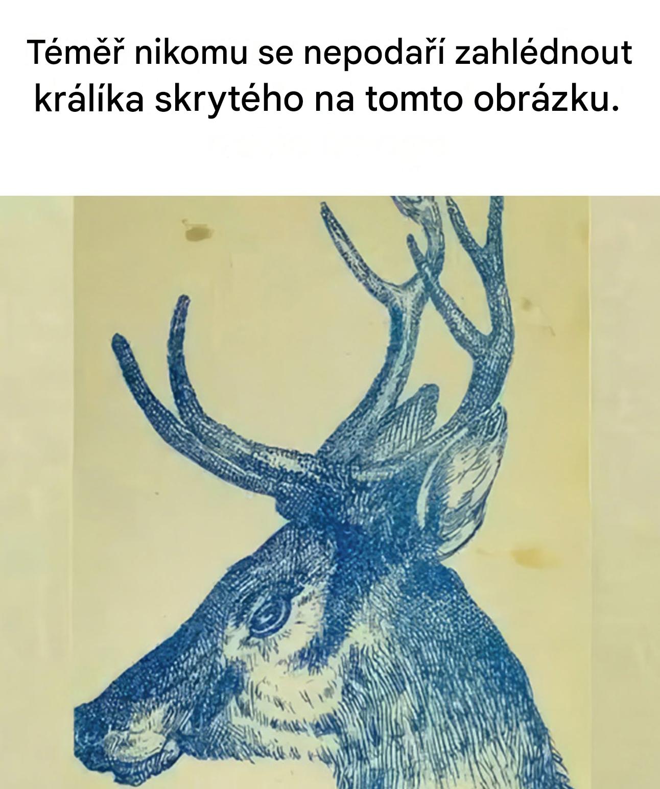 Otestujte si své orlí oko: mrknutím oka objevte králíka skrytého v tomto jelenovi!