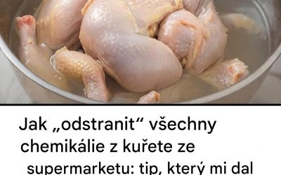 Jak vyčistit kuře ze supermarketu: tajemství bývalého pracovníka jatek