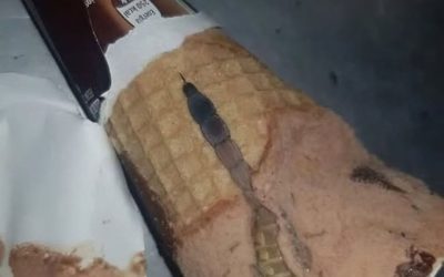 Překvapivý objev mé dcery v srdci našeho oblíbeného dezertu