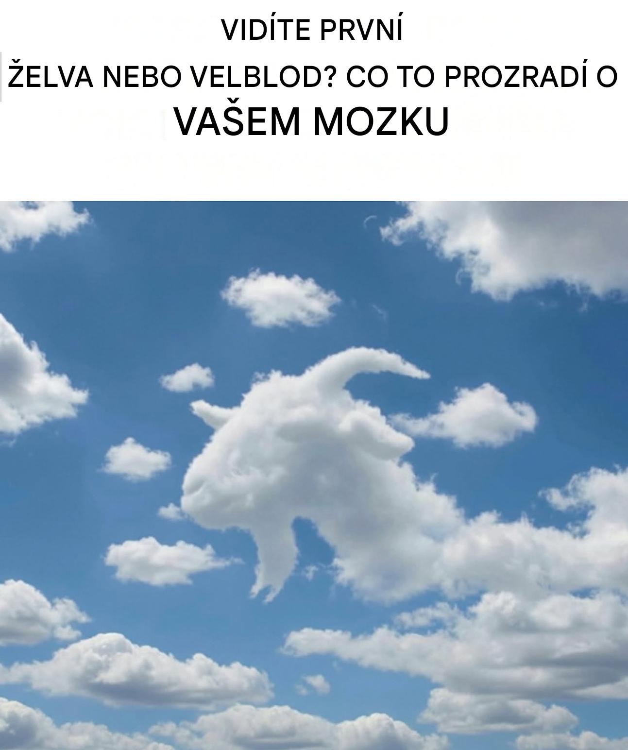 Vidíte jako první želvu nebo velblouda? Co to vypovídá o vašem mozku?