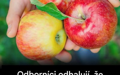 Lékaři odhalují, že konzumace příliš velkého množství jablek může způsobit některé neočekávané účinky.