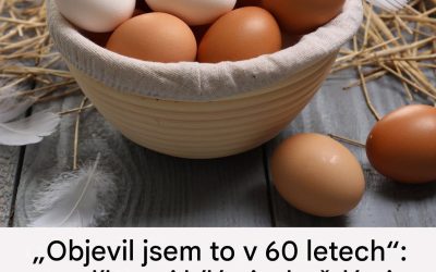 Pravda o skořápce: mýty a realita kolem barvy vajec