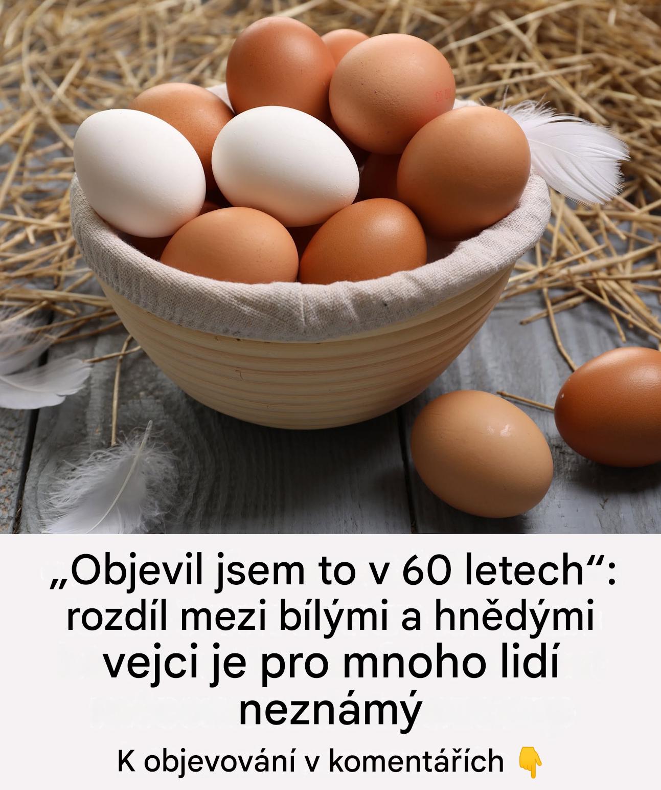 Pravda o skořápce: mýty a realita kolem barvy vajec