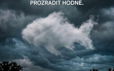 Odhaluje váš bezprostřední pohled mrak nebo rybu? Co o vás tato virální iluze říká?