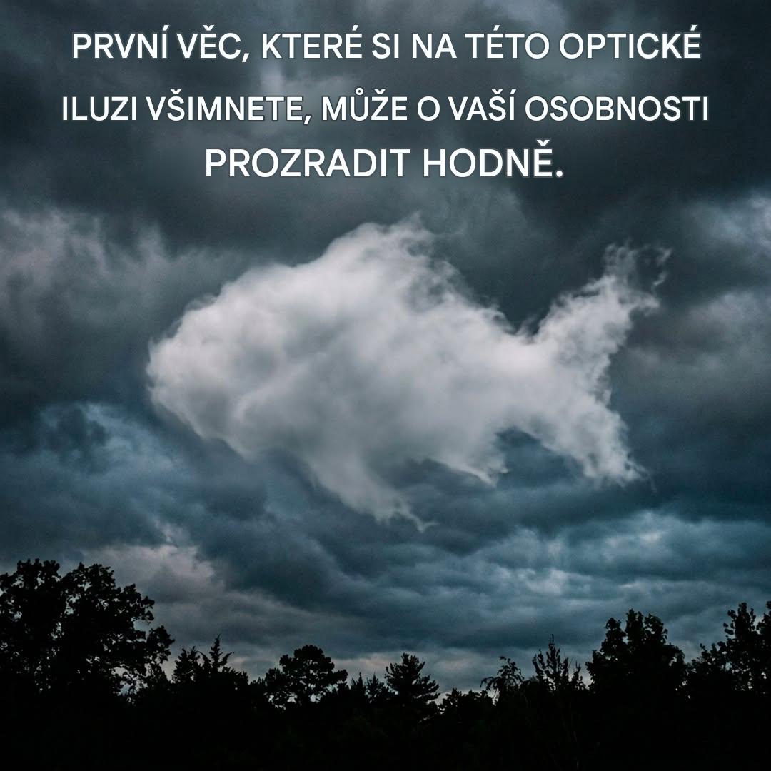 Odhaluje váš bezprostřední pohled mrak nebo rybu? Co o vás tato virální iluze říká?