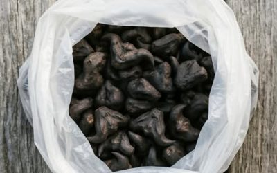 Nečekaný kulinářský dárek od mých sousedů, kteří přijeli odjinud