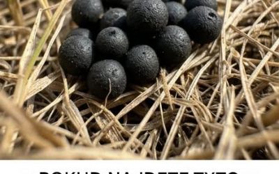 Co dělat, když na zahradě najdete podivné černé koule: co to vlastně je?