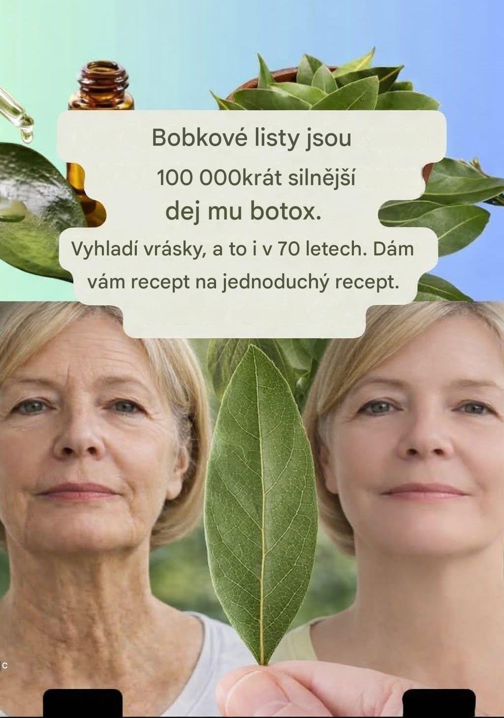 Bobkový list je fascinující rostlina, symbol slávy ve starověku i stálice v našich moderních kuchyních. Je však důležité vědět, že existuje několik druhů a ne všechny jsou zdravé. Zde je to, co potřebujete vědět, abyste se vyhnuli chybě: