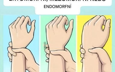 Štíhlá, svalnatá nebo kulatá: jaký je váš typ postavy a jak si z ní můžete udělat svého spojence?