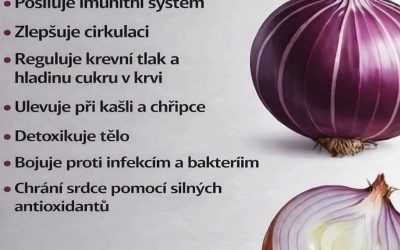 Výsledky hledání pro – Purple Onion Remedy: Jednoduchý domácí recept, který podporuje plíce, zmírňuje kašel a zvyšuje imunitu