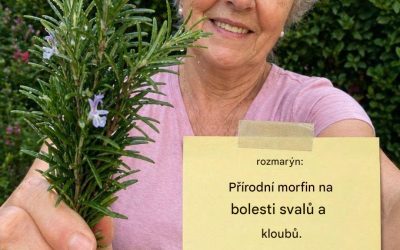 Rozmarýn: přírodní lék na bolesti svalů a kloubů. Celý recept a návod najdete v mém prvním komentáři. Pokud chcete i nadále dostávat mé přírodní recepty, zanechte komentář… Děkuji!