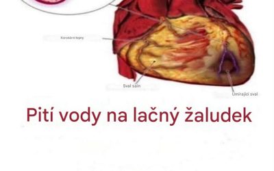 Pravda o pití vody hned ráno: mýty a realita