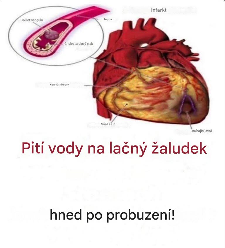 Pravda o pití vody hned ráno: mýty a realita