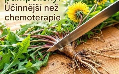 Kořen pampelišky: Starověká rostlina s četnými přírodními výhodami