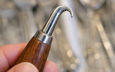 Malý kovový nástroj s hákovitým, zoubkovaným koncem a dřevěnou rukojetí. Našel jsem ho smíchaný se starým stříbrným příborem. Příliš ostrý na lžíci, příliš zakřivený na nůž.