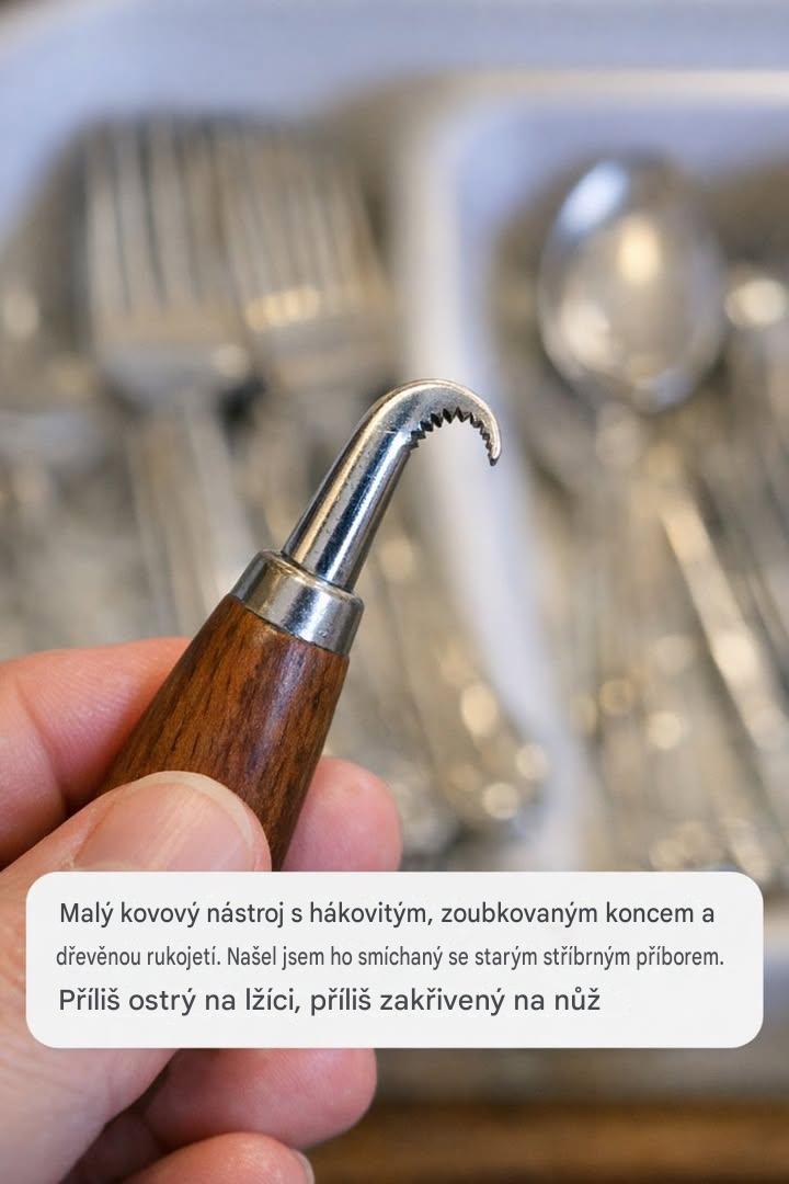 Malý kovový nástroj s hákovitým, zoubkovaným koncem a dřevěnou rukojetí. Našel jsem ho smíchaný se starým stříbrným příborem. Příliš ostrý na lžíci, příliš zakřivený na nůž.