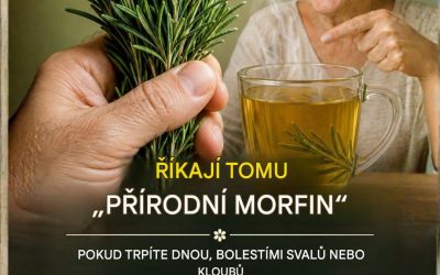 Rozmarýn: přírodní lék na bolest svalů a kloubů