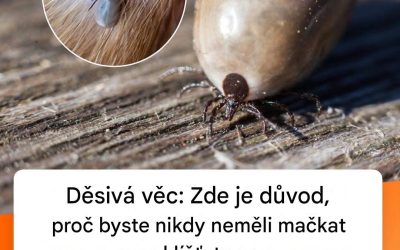 Neočekávané důsledky spláchnutí klíštěte do toalety