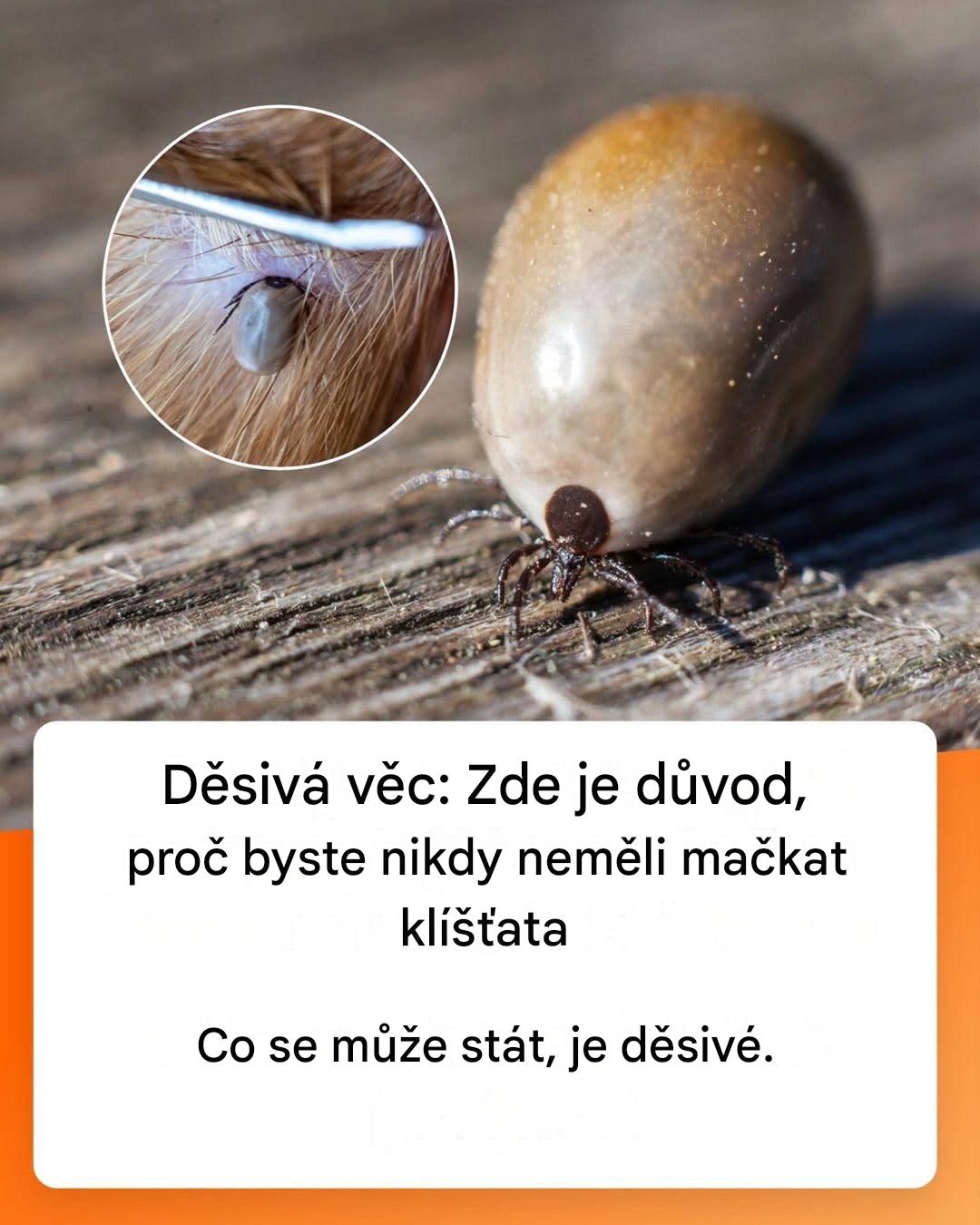 Neočekávané důsledky spláchnutí klíštěte do toalety