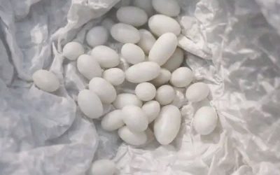 V batohu mého patnáctiletého syna jsem našla nějaké divné malé bílé kuličky: říká, že jsou to jen bonbóny, ale já mu nevěřím … zobrazit více…