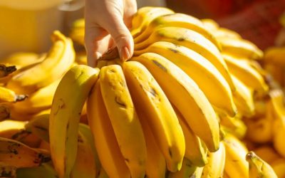 Je vám přes padesát? Zde je důvod, proč by obyčejný banán denně mohl změnit vaši pohodu