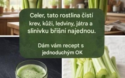 Objevte rostlinu, která už v jediné dávce pročistí vaši krev, regeneruje vaši pokožku a hloubkově pročistí vaše ledviny, játra a slinivku břišní.