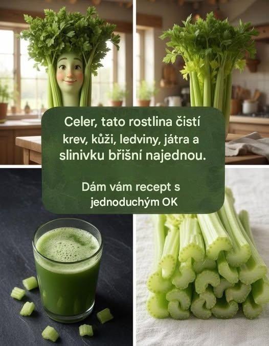 Objevte rostlinu, která už v jediné dávce pročistí vaši krev, regeneruje vaši pokožku a hloubkově pročistí vaše ledviny, játra a slinivku břišní.