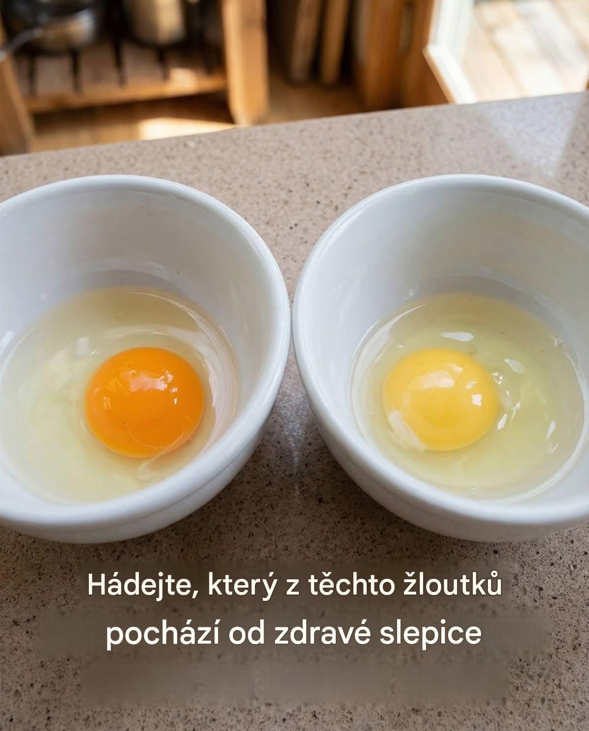 Hádejte, který z těchto žloutků pochází od zdravé slepice