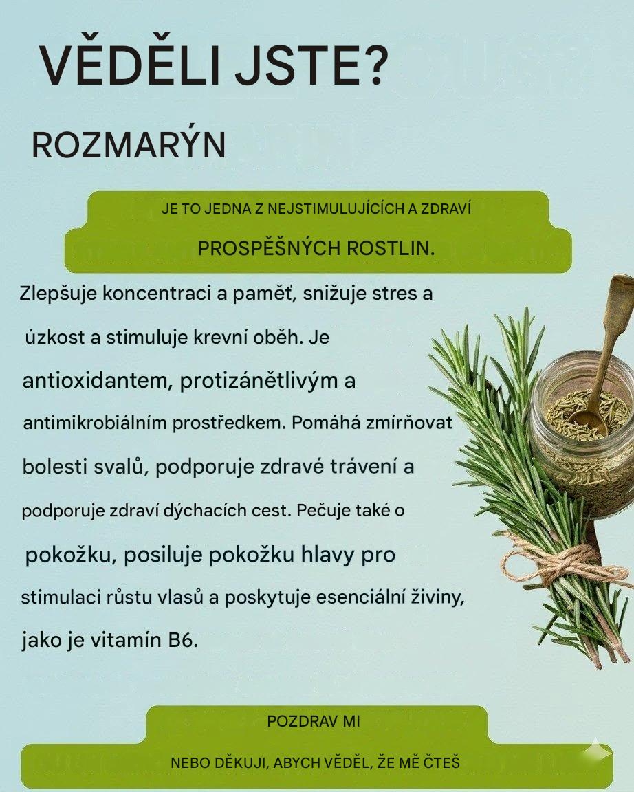 Rozmarýn a jeho zdravotní přínosy