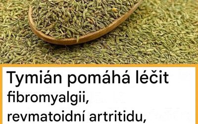 Tymián ničí infekce krku, chřipku a bojuje s respiračními infekcemi.